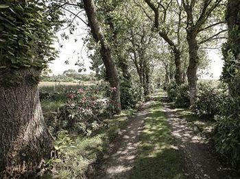 La Ferme De Kerraoul 3*